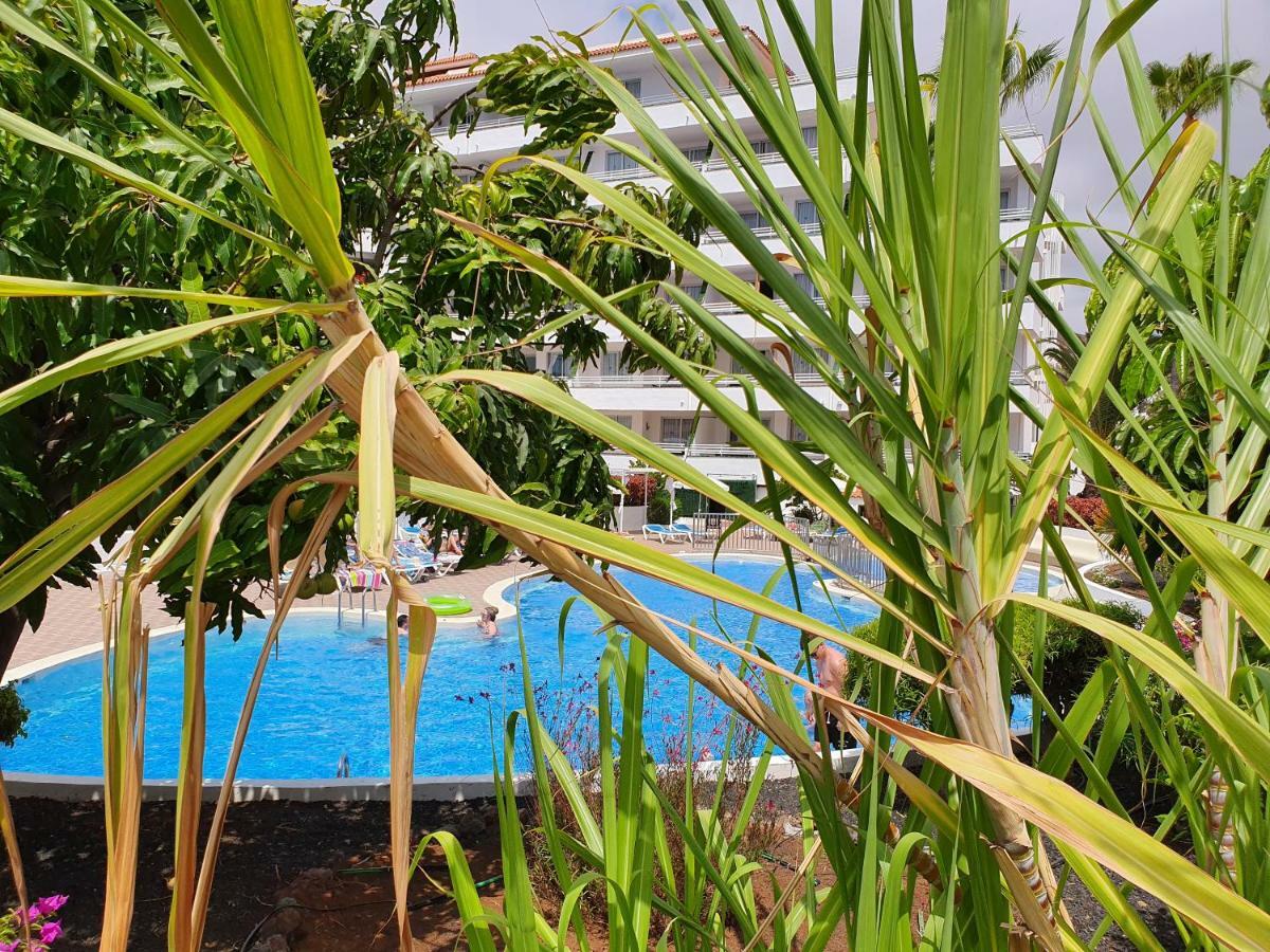 Spectacular Renovated Apartment, 5 Min To Camison Beach, With Aircon أرونا المظهر الخارجي الصورة